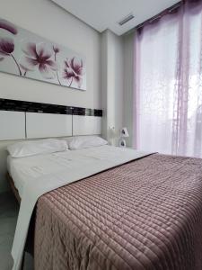 贝尼多姆GEMELOS Levante beach apartments的卧室配有一张大床,墙上挂有绘画作品