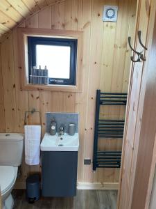 EarlishAllt Yelkie Pod Coig, Earlish的一间带水槽和卫生间的浴室