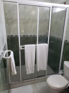 圣玛尔塔Hospedaje Villa Naloy的带淋浴、毛巾和卫生间的浴室
