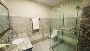 拉希迈尔汗Golden Sand Hotel Rahim Yar Khan的带淋浴、盥洗盆和卫生间的浴室