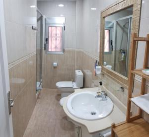 瓦伦西亚JL Ciudad de las Artes的一间带水槽、卫生间和镜子的浴室