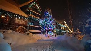 克鲁斯兹考采查奇德拉奇旅馆的建筑物前雪中一棵圣诞树