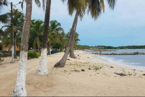 圣安特罗PLAYA BLANCA SANANTERO CORDOBA las palmeras D’JC的沙滩上一排棕榈树