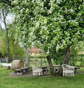 Karl GustavKG SleepOver的公园设有秋千、一棵树和吊床