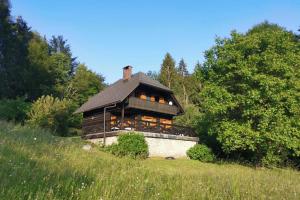 博希尼Cottage in the woods - Lake Bohinj的田野中间的大型木屋