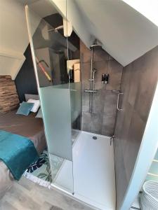 HerneGroot GENOEGEN - 50 North - with AIRCO的卧室里带玻璃门的淋浴