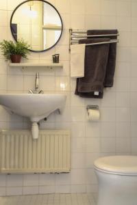 吕伐登Logement het Herenwaltje的一间带水槽、镜子和卫生间的浴室