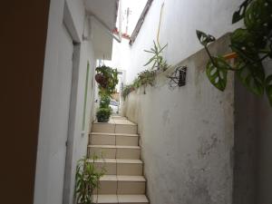 萨尔瓦多蓝海公寓的建筑一侧有盆栽植物的楼梯