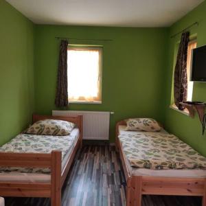 DávodSanyi Vendégház的绿墙客房内的两张床