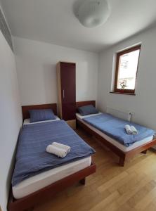 博希尼Apartments Bohinjc的相册照片