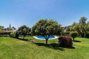 马贝拉Exclusive House located in Prime location的一座有树木和草地的庭院内的游泳池