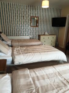 GarvaghGortin Glen Guest House的酒店客房设有两张床和电视。