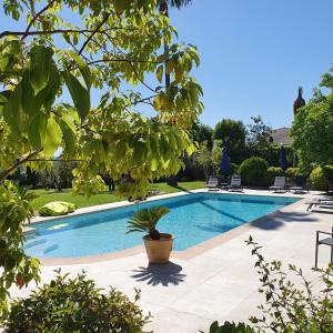 PlascassierLe Domaine des Mûriers - charme, chic, calme en Provence Côte d'Azur的院子里的游泳池,种植了盆栽植物