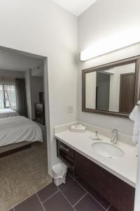 博林格林鲍林格林住桥套房酒店的一间带水槽和镜子的浴室以及一张床