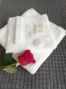 布加勒斯特Marlen’s Apartment的红玫瑰坐在白毛巾上
