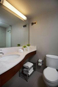 华盛顿Glover Park Hotel Georgetown的一间带水槽、卫生间和镜子的浴室