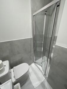 伦敦拉夫纳格拉酒店的一间带卫生间和淋浴的浴室