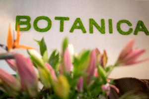 贝尔格莱德Hotel Botanica的读书青紫草的标语前面的植物
