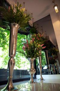 贝尔格莱德Hotel Botanica的三个花瓶,桌子上放着鲜花