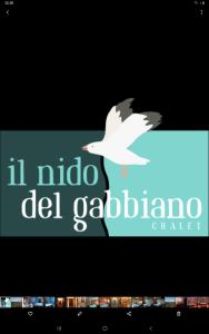 马帝斯兹罗Il Nido del Gabbiano - Riviera Adriatica的电视屏幕上戴帽子的鸟