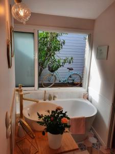 格朗维尔Charmant logement T2 à 2 pas de la mer的带浴缸的浴室和窗户上的自行车
