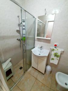 切萨雷奥港Zuccaro Apartment的带淋浴、盥洗盆和卫生间的浴室