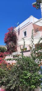派尔季卡Villa Rodanthos的前面有鲜花的粉红色建筑
