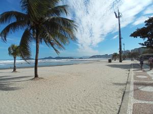 桑托斯Rota 013 - Santos Canal 4的棕榈树和海洋的海滩