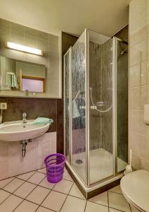 巴特法兴格克尔盘升佛鲁登斯坦酒店的带淋浴和盥洗盆的浴室