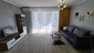 奥斯威辛Apartament DeLuxe 3的带沙发和电视的客厅