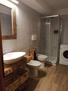 莫埃纳Casa Dolomiti的一间带水槽、卫生间和淋浴的浴室