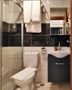 安塔利亚Toprak Apart Otel的一间带卫生间和水槽的浴室