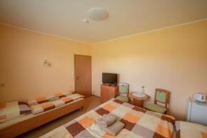 Dlouhá VesPension V lukách的一间酒店客房,设有两张床和电视