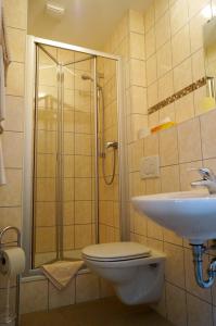 巴哈拉赫祖尔帕斯特酒店的带淋浴、卫生间和盥洗盆的浴室