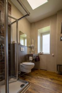 米罗Alte Schlossbrauerei的一间带卫生间和玻璃淋浴间的浴室