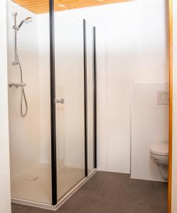 考滕巴赫Hotel Huberty Kautenbach的浴室设有玻璃淋浴间和卫生间