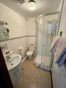 布雷肯犁耙宾馆的带淋浴、卫生间和盥洗盆的浴室