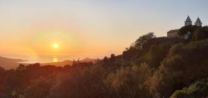 Sari-dʼOrcinoTerre de Maquis, maison d'hôtes vue mer Corse的山丘上树木和教堂的日落