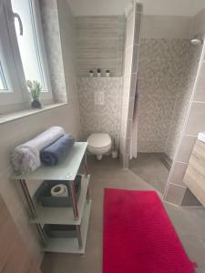 卡特兹奥布萨维Aparthouse Alfa1的一间带卫生间和红色地毯的浴室