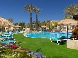 美洲海滩大绿洲度假酒店的一个带草坪椅和棕榈树的游泳池