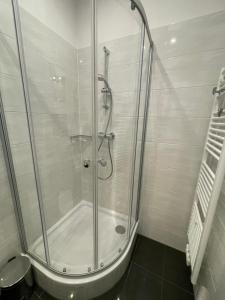 维也纳Donau Apartment Vienna的浴室里设有玻璃门淋浴