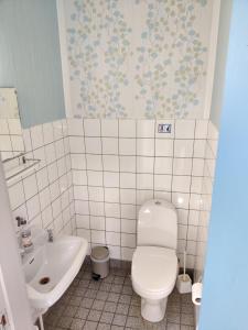 Rudbøl鲁迪波尔旅舍的一间带卫生间和水槽的浴室