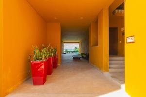 女人岛Isla Sunset Rentals at Sotavento的走廊上设有橙色墙壁和一排盆栽植物