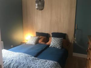 波尔多Ecolodge Appartements 2 pièces cosy gare的一张带蓝色棉被和枕头的床