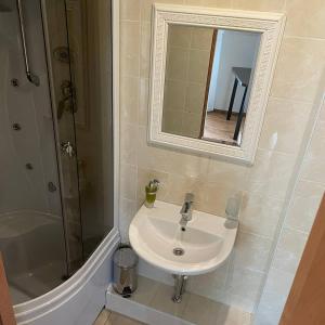 文茨皮尔斯Tower Hotel的一间带水槽、淋浴和镜子的浴室