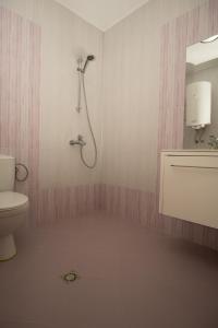 茨雷沃Guest apartments STELA的带淋浴和卫生间的浴室