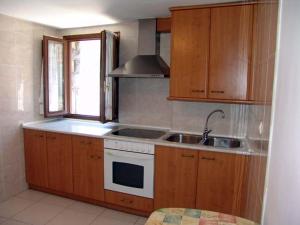 托尔拉Apartamento Miguel Torla Ordesa的厨房配有木制橱柜、水槽和炉灶。
