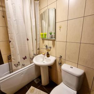 Apartman Veselinovic Free PARKING的一间浴室