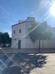 圣米格尔·德·图库玛Monoambiente Plaza Belgrano的前面有棵树的白色建筑