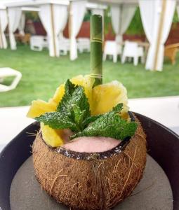 莱斯卡瑟斯-达尔卡纳坦卡特德科多纽酒店的一块椰子,上面有绿棒